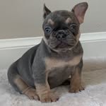 Juan Mary - @rgvs_xtreme_bulldogs_ - Instagram