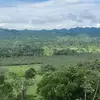 Juan Mas - @juan.mas287 - TikTok
