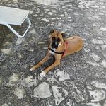 Juan Masso Torello - @massotorello - Instagram