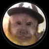 JXĄN 🕸️ - @juan.mateos.0 - TikTok