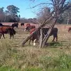 Juan Mayol - @juan.mayol6 - TikTok