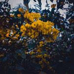 Kjuan McCarthy - @kjuanmccarthy - Instagram