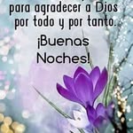 Juan Mella - @juan.mella.549 - Instagram