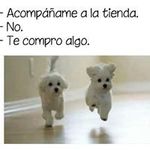 Juan Moralez - @juan.moralez.942 - Instagram