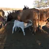 Juan Jiménez Morgan - @juan.jimnez.morga - TikTok