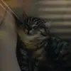 Juan Olsen - @juanolsen9863 - TikTok