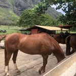 Juan olson - @juanolson537 - Instagram