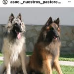 Juan Palos Ortega - @juanpalosortega - Instagram