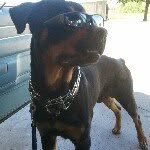 Juan Peralez - @bigdogjoker13 - Instagram