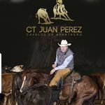 Juan Perez - @juanmexicanoperez - Instagram