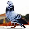 juan perez - @juan.perez6169 - TikTok
