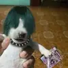 Juan Pou - @juan.pou1 - TikTok