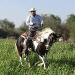 Juan Preza - @juan.preza.3591 - Instagram