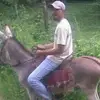 juanradillo1 - @juanradillo1 - TikTok