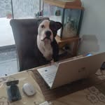 Juan Randall Fabián Ramírez Huerta - @juanrandallfabian2025 - Instagram