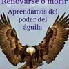Juan rebollo - @juan.rebollo49 - TikTok