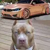 Juan Rebollo - @juan.rebollo4 - TikTok
