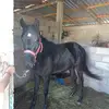 juan rebollo - @juan.rebollo709 - TikTok