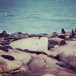 juan - @juanrobainazambrano - Instagram
