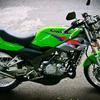 Juan rock - @juan.rock8 - TikTok
