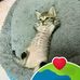 Juan D Rodea - Facebook