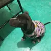 juanrodea85 - @juanrodea85 - TikTok