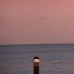 Juan Antonio Sarrion - @juansaca - Instagram