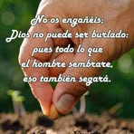 Juan Saca - Facebook