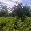Juan Saca - @juan.saca40 - TikTok