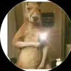 Juan Saldierna - @juan.saldierna2 - TikTok