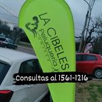 Juan Manuel Simpson - @lacibelespelu - Instagram