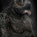 Juan Stein - Facebook