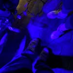 𝕵𝖚𝖆𝖓♉️ - @juan.sunu - Instagram