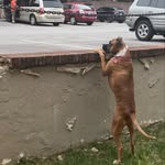 Juan Garduno - @juansun - Instagram
