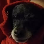Juanito caballo🐿️ - @juan._.antonio._.tarango - Instagram