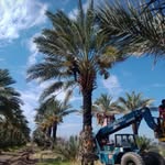 Juan Tornero - @juan.tornero.771 - Instagram