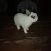 Juan Uroz - @juan.uroz - TikTok