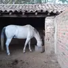Juan Uroza288 - @juanuroza288 - TikTok