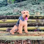 Juan Ramón The Welsh - @juanramonthewelsh - Instagram