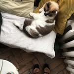 Juan Williamson - @setkeebetenfar745 - Instagram