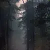 juanwilliamson7 - @juanwilliamson7 - TikTok