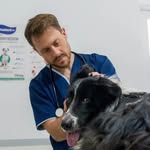 Veterinario Juan Willis - @veterinariojuanwillis - Instagram
