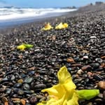 juan winston paredes barril - @juanwinstonparedes - Instagram