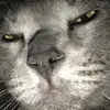 juanyoung_94 - @koolaidkid69 - TikTok