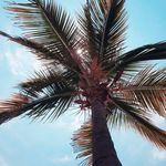 Juan Zermeno - @jrzermeno - Instagram