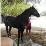juanaacuna - @juanaacuna53 - Instagram