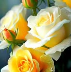 Juana Aranda - Facebook