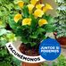 Juana Arango - Facebook