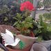 Juana Baez - Facebook