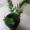 Juana baez - @baez.juana - TikTok